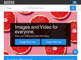 'bigstockphoto.com' screenshot