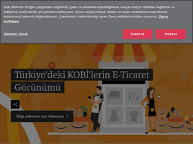 'pwc.com.tr' screenshot