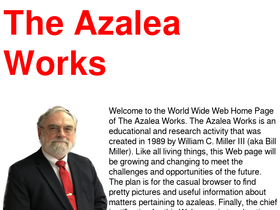 theazaleaworks.com