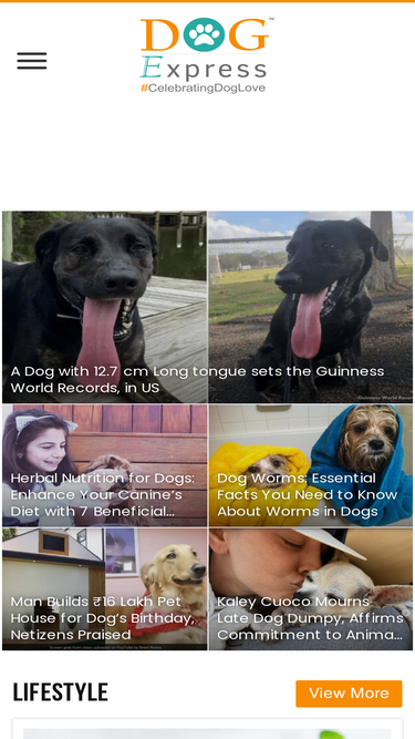 dogexpress.in