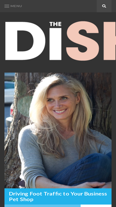 thedishh.com
