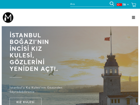 'acente.muze.gov.tr' screenshot