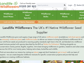 'wildflower.co.uk' screenshot