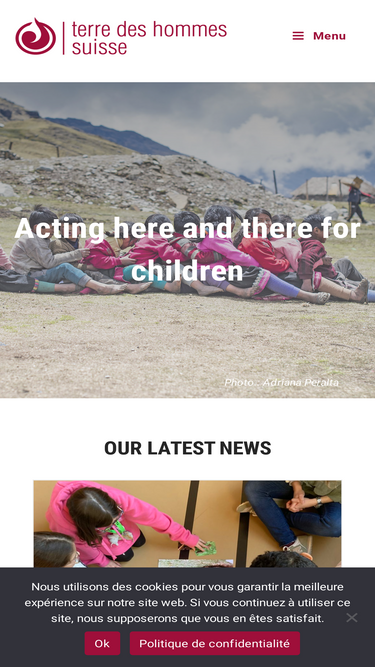 terredeshommessuisse.ch