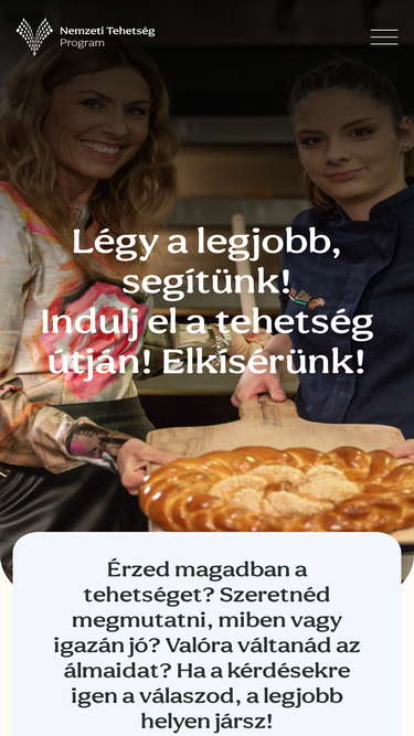 nemzetitehetsegprogram.hu