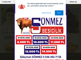 'geyve.com' screenshot