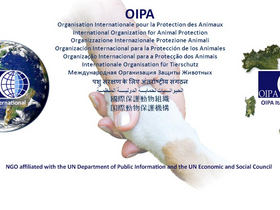'oipa.org' screenshot