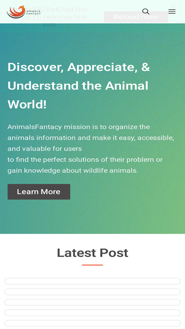 animalsfantacy.com