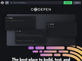 'cdpn.io' screenshot