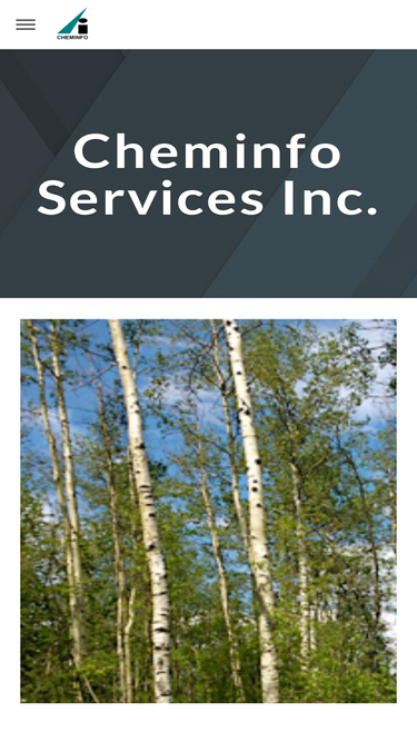 cheminfoservices.com