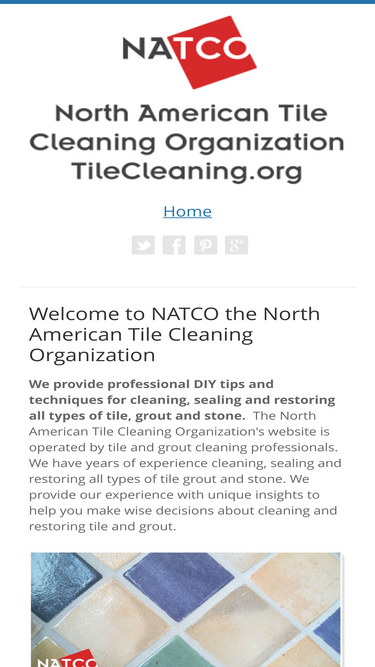 tilecleaning.org