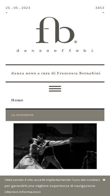danzaeffebi.com