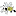 dfwbug.com