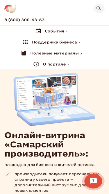 mybiz63.ru