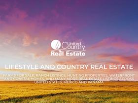 'homeslandcountrypropertyforsale.com' screenshot