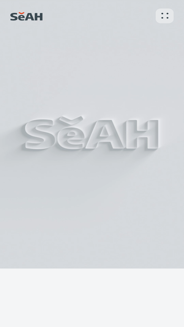 seah.co.kr