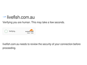 'livefish.com.au' screenshot