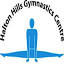 haltonhillsgymnastics.com