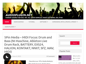 'audioplugin.net' screenshot