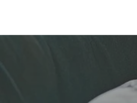 purplemonkeymanor.com homepage screenshot