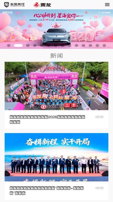 dflzm.com.cn