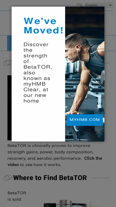 betator.com