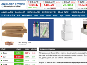'anlikaltinfiyatlari.com' screenshot