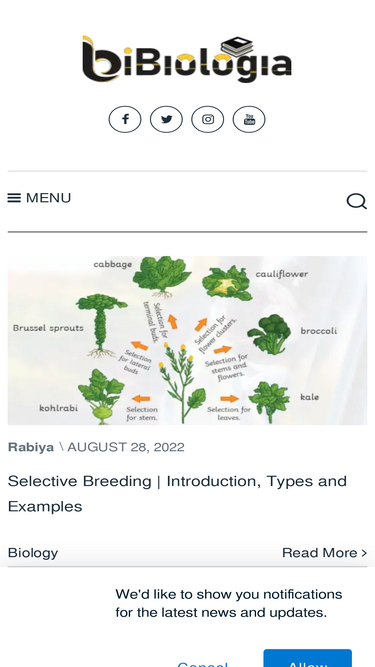 ibiologia.com