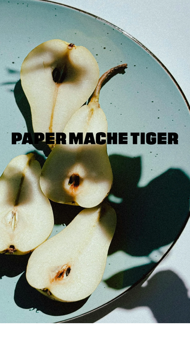 papermachetiger.com