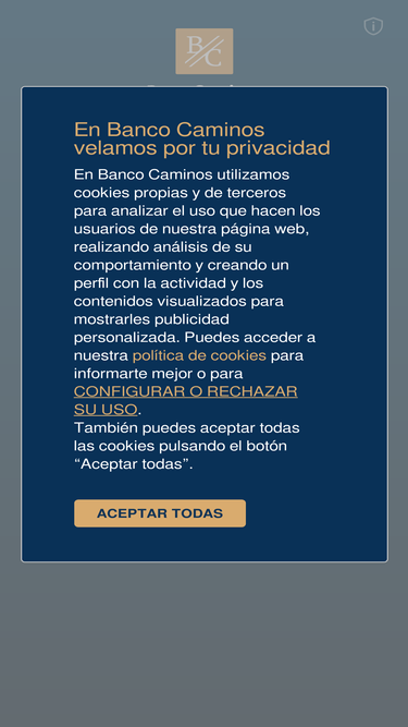 lineacaminos.com