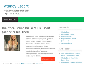 'bakirkoyfal.com' screenshot