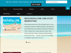 beachdog.com