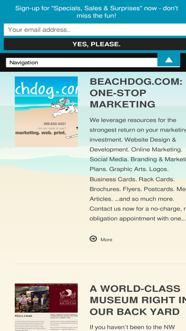 beachdog.com
