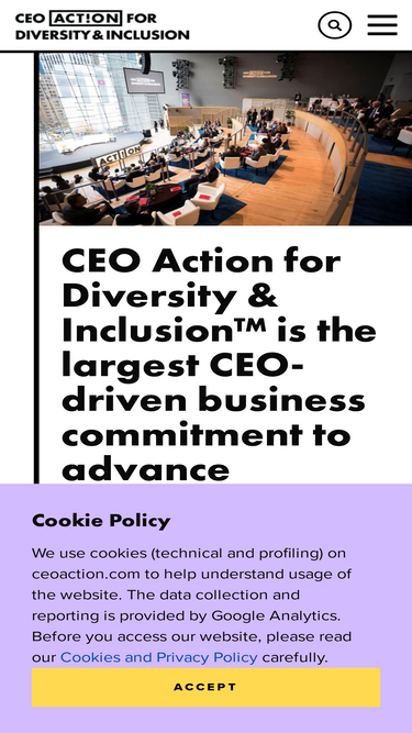 ceoaction.com
