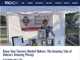 'traverseticker.com' screenshot