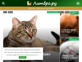 'litbro.ru' screenshot