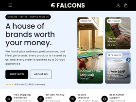 Falcons Express homepage screenshot
