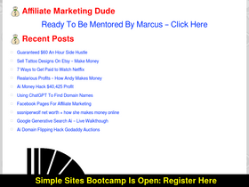 'affiliatemarketingdude.com' screenshot