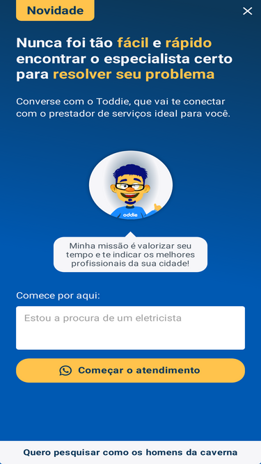 oddie.com.br