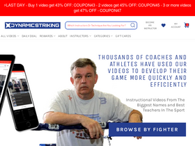 'dynamicstriking.com' screenshot