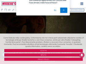 'nissolinocorsi.it' screenshot