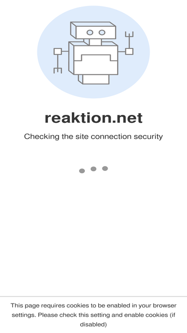reaktion.net