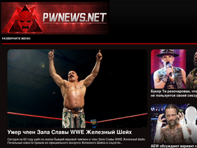 'pwnews.net' screenshot