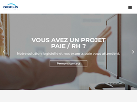 'nibelis.com' screenshot