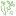 laplacecommune.com
