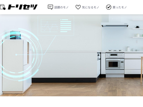 'torisetsu.biz' screenshot