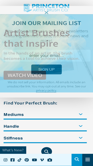 princetonbrush.com