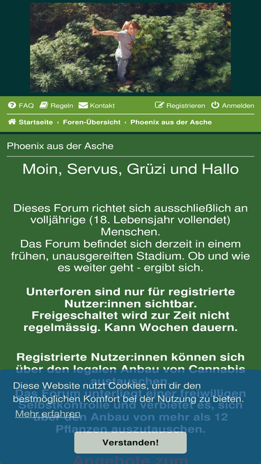 hanfburg.de