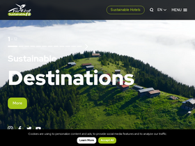 'goturkiye.com' screenshot