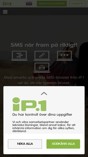 ip1sms.com
